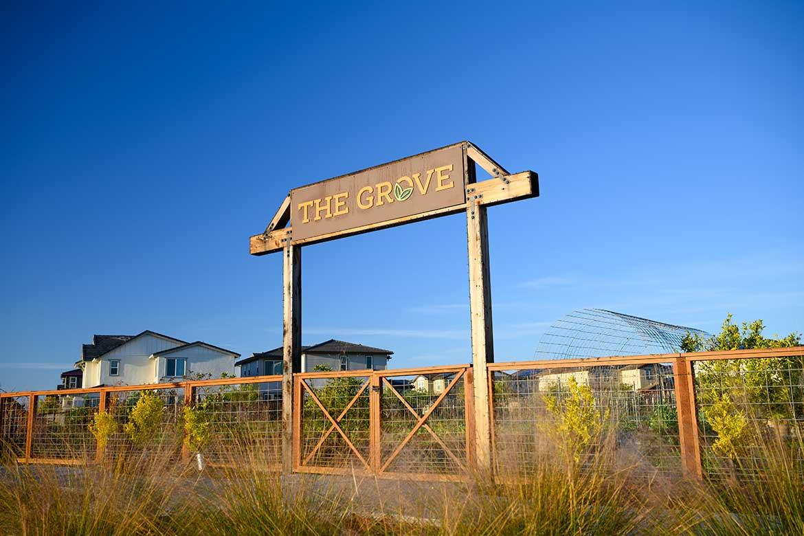 The Grove