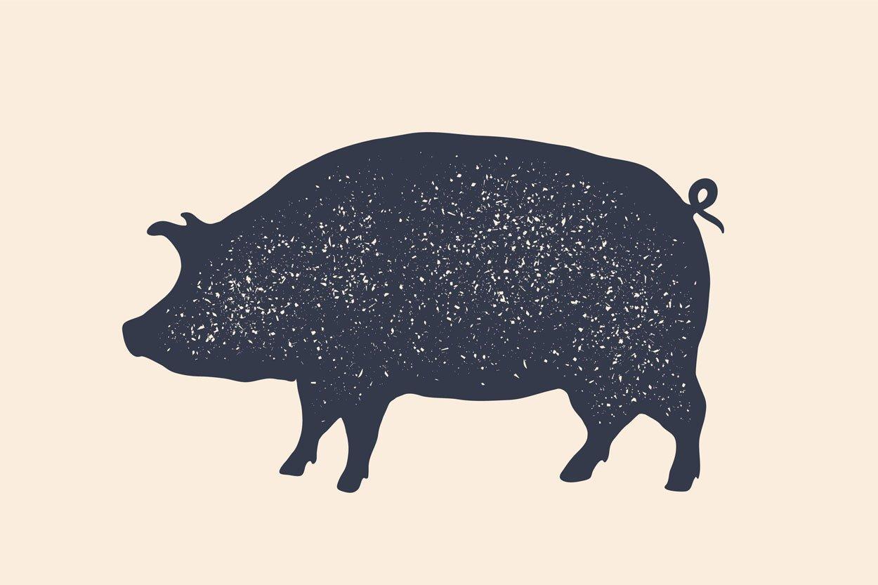 iStock-1044409516-pig-1
