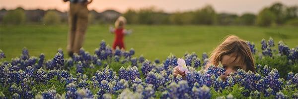 bluebonnet-field-royse-city-3