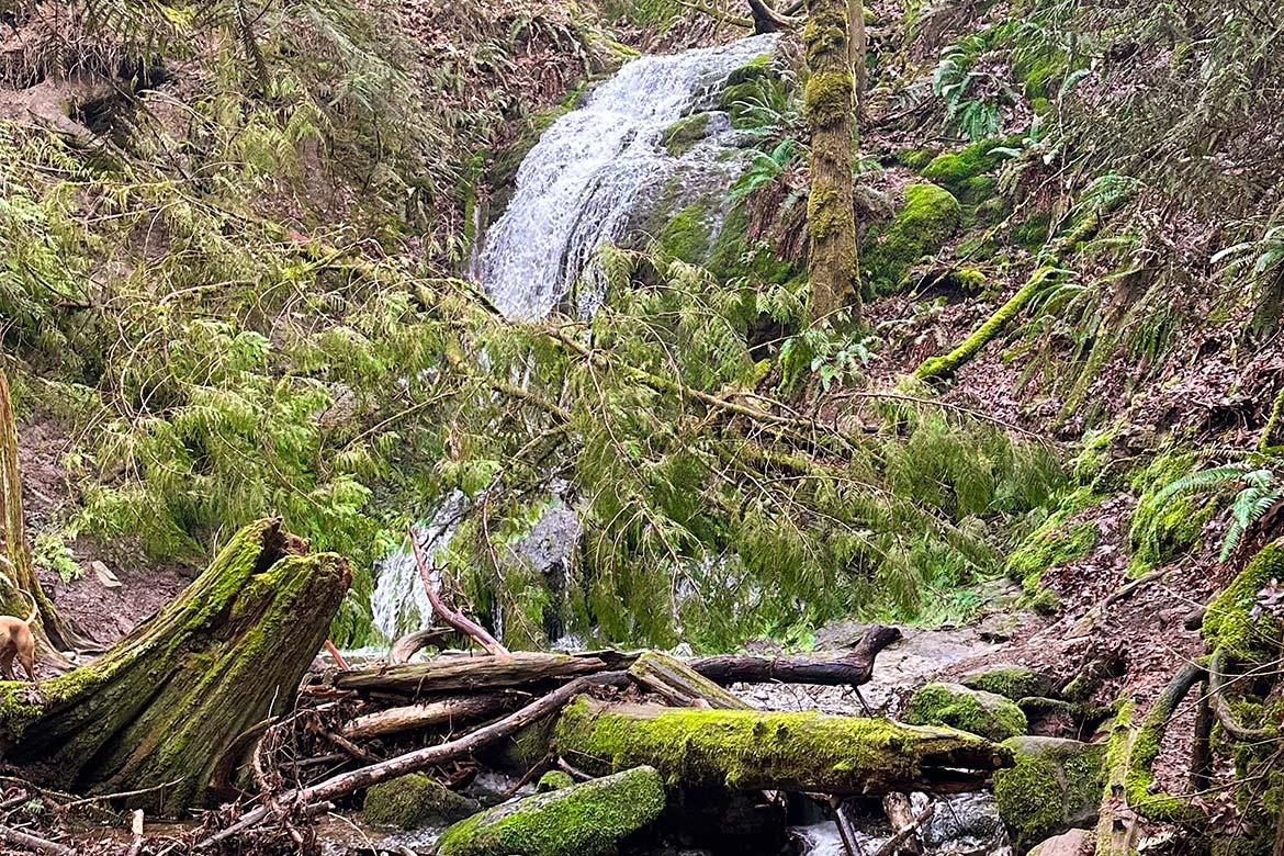 Alterra_Cougar_Mountain_Longview_Peak_Newcastle_Tri_Pointe_Homes_B