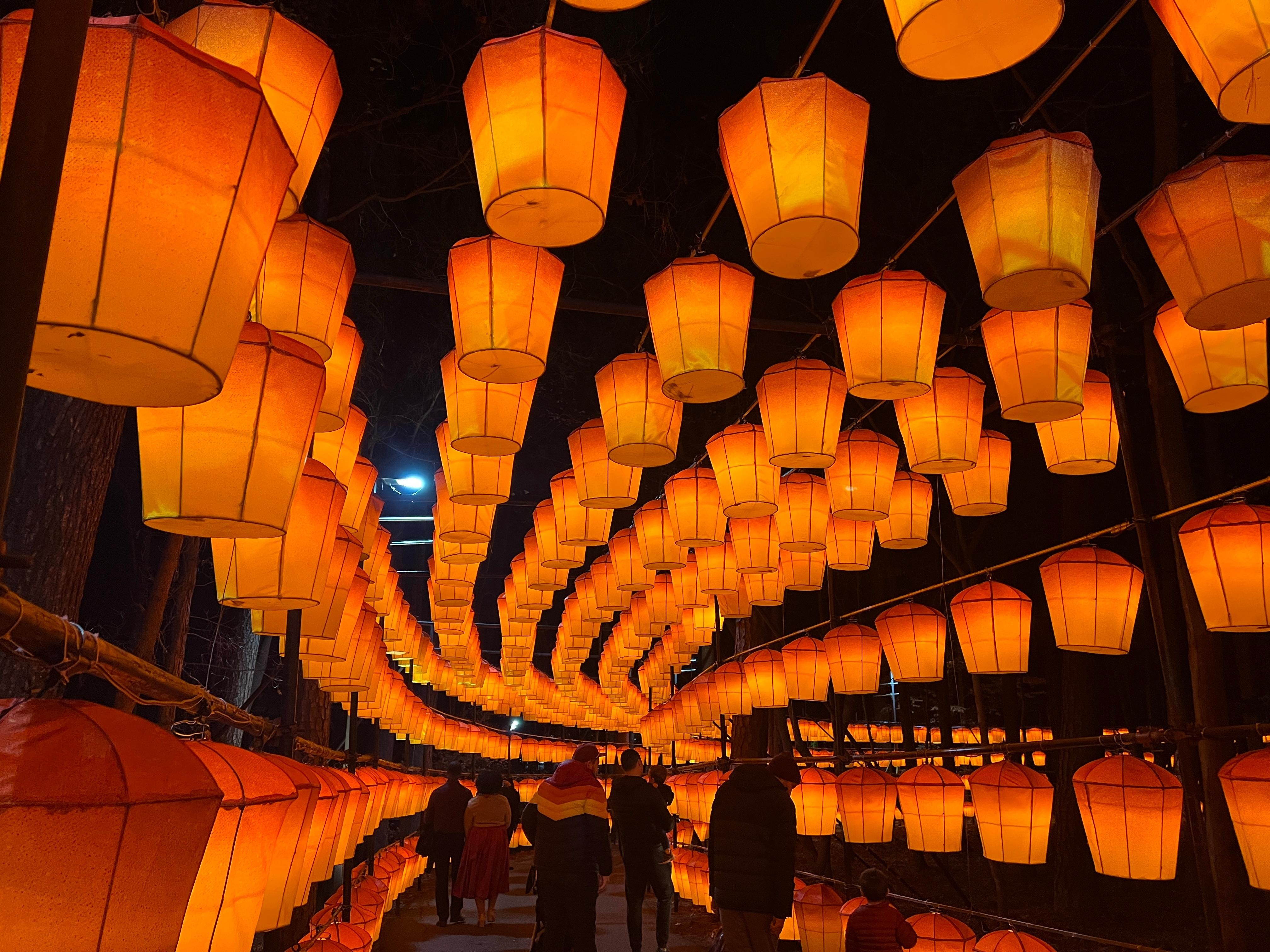 Lantern Festival Cary