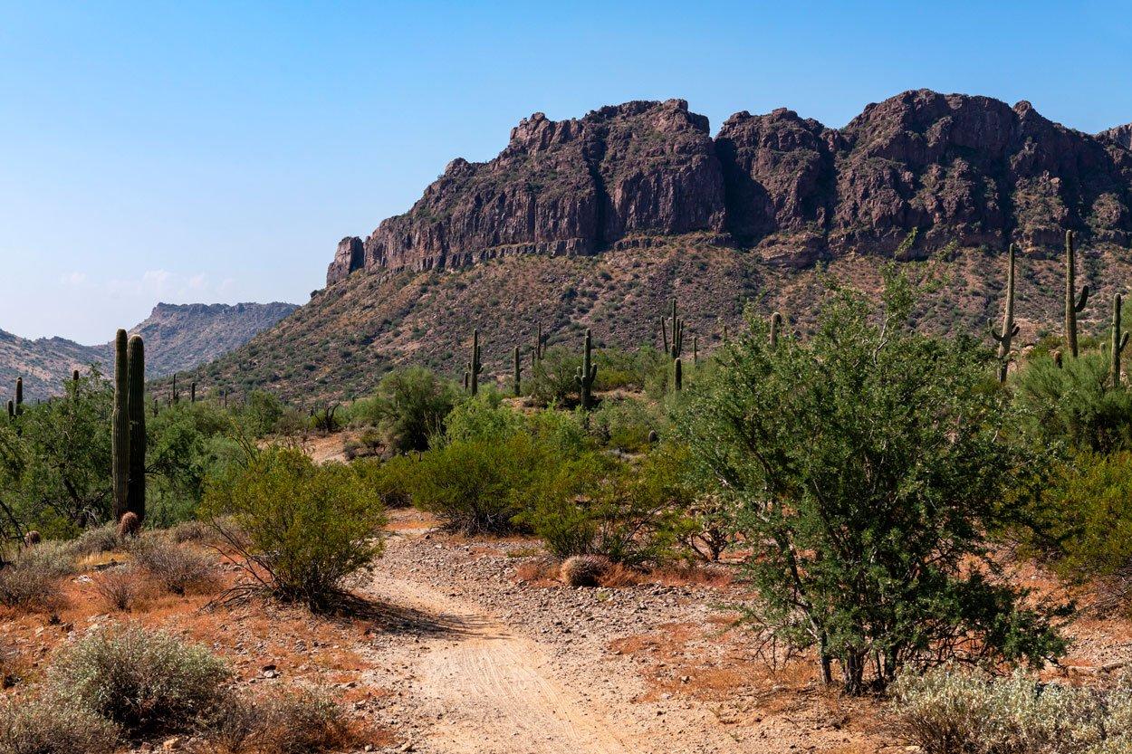 San-Tan-Landscape-163-Final-Low-Res