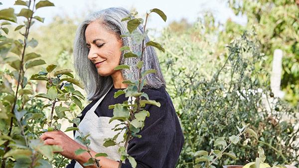 Greenery-Nature-Blog-Web-AZ