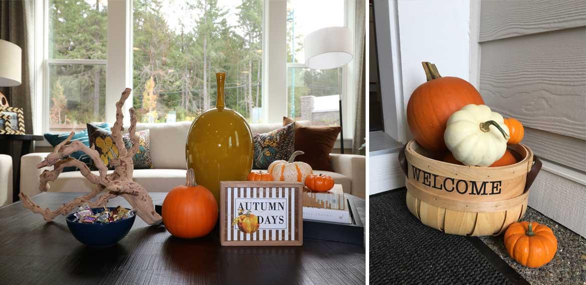 blog_september21_1_1170x569