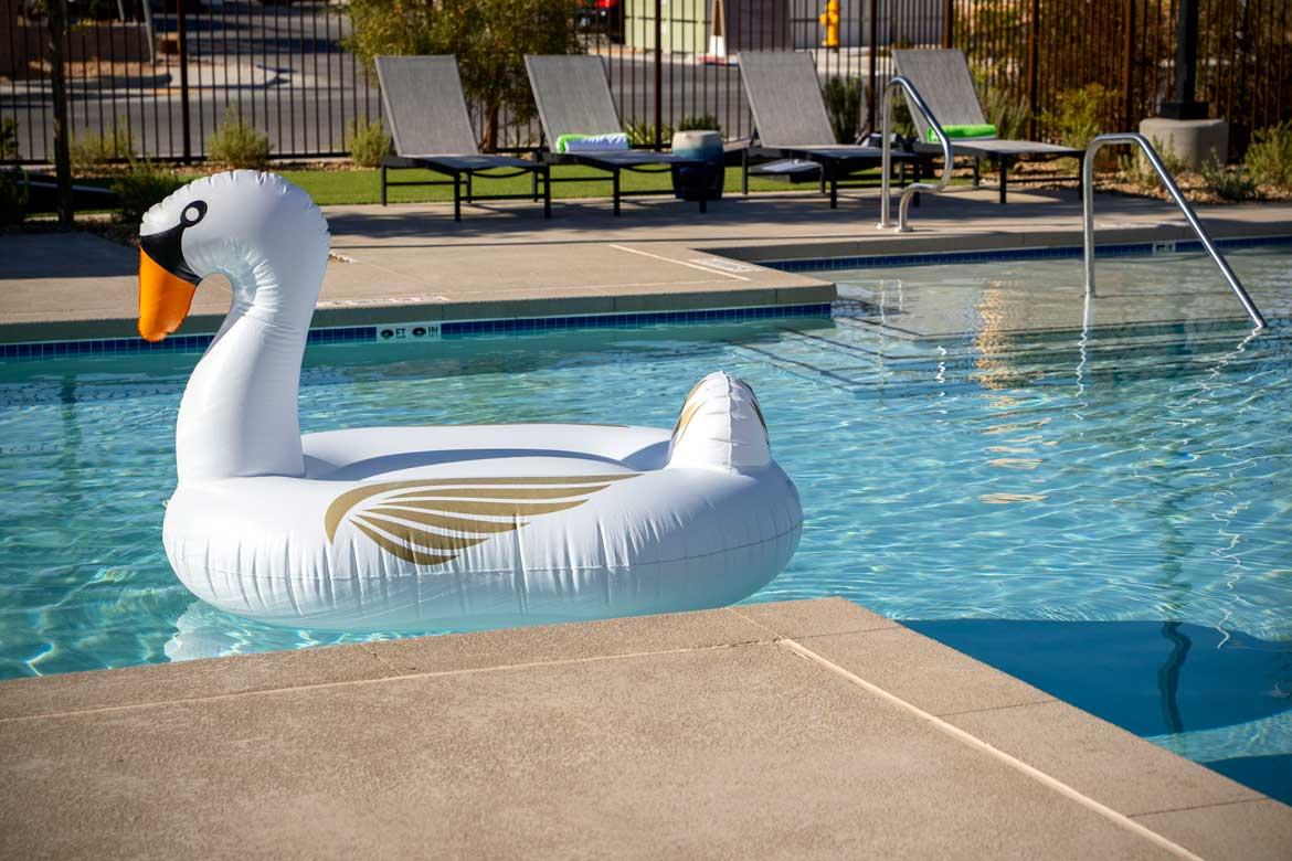 SawnFloatieInPool-1