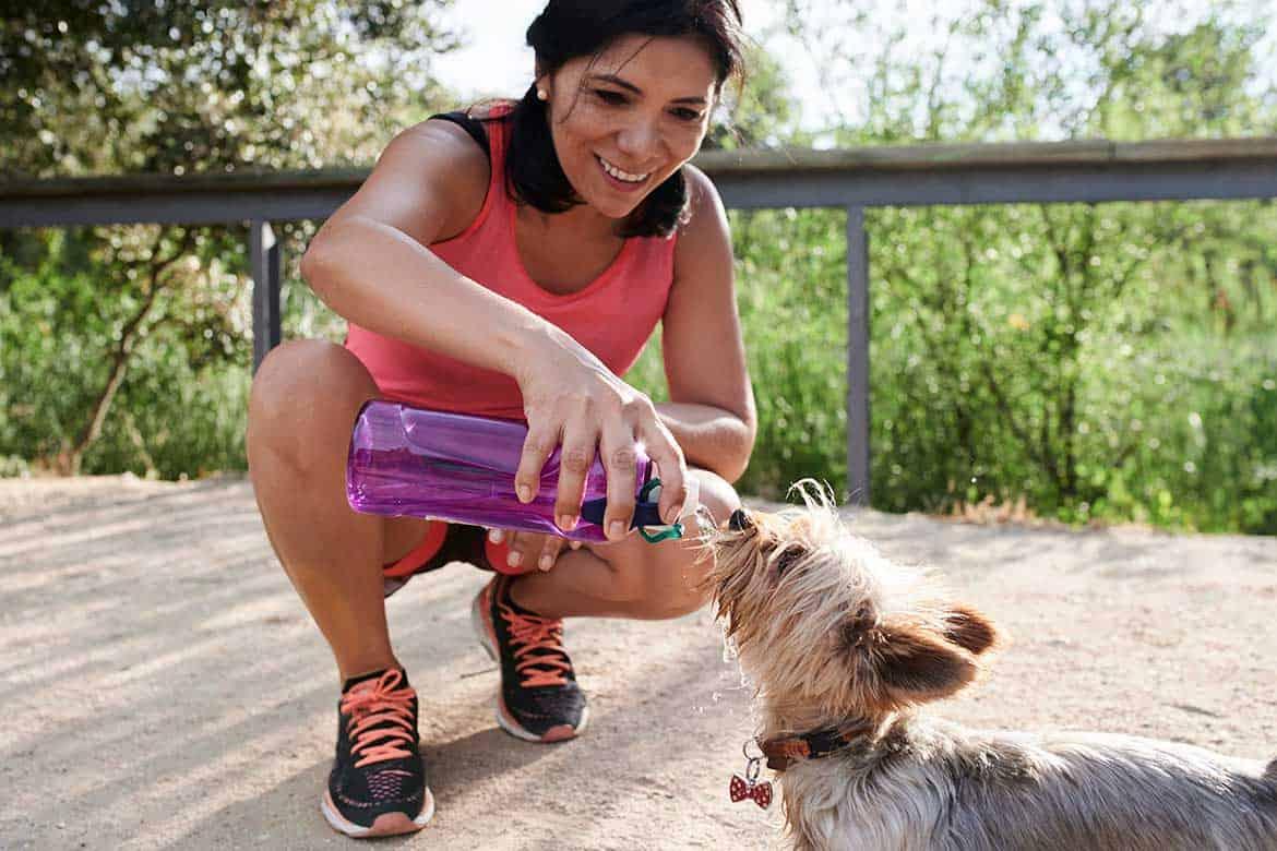 blog_mar21_2_1170x780