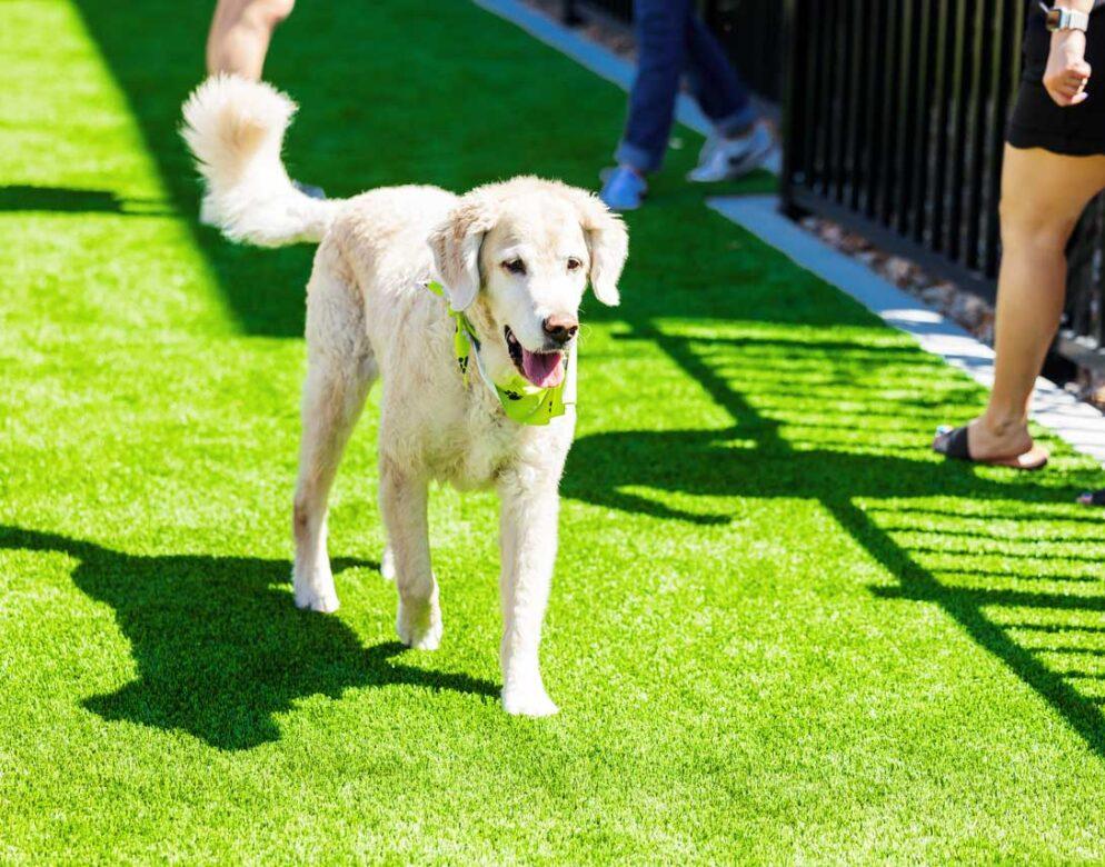 Tri-Pointe-Highview-Amenity-Spaces-281090x855-1-994x780