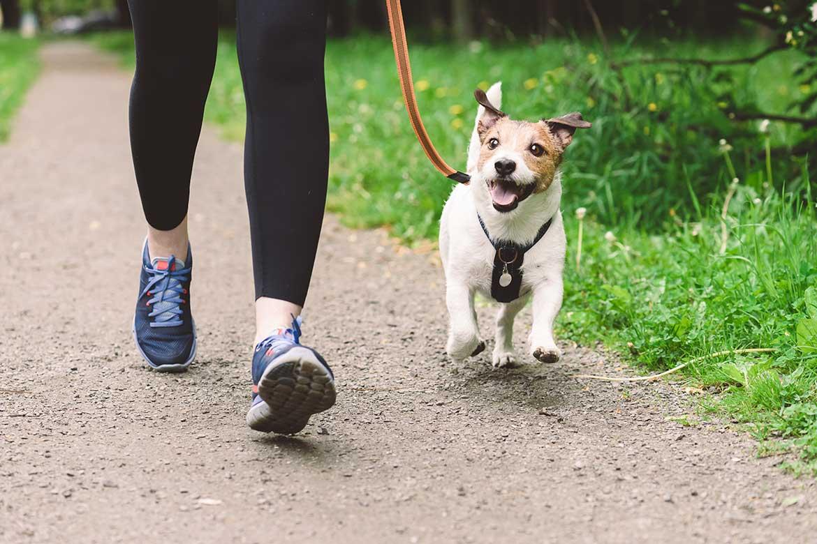 Running with dog
