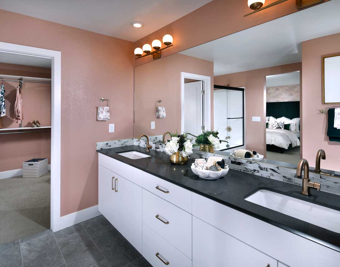 VertexPlan2XPrimaryBath